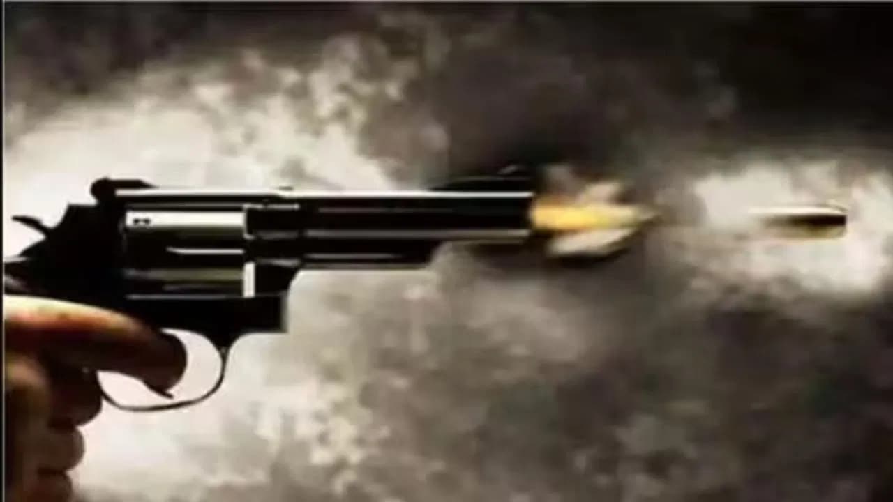  8 shot dead at 2 locations near Chicago, manhunt launched for accused