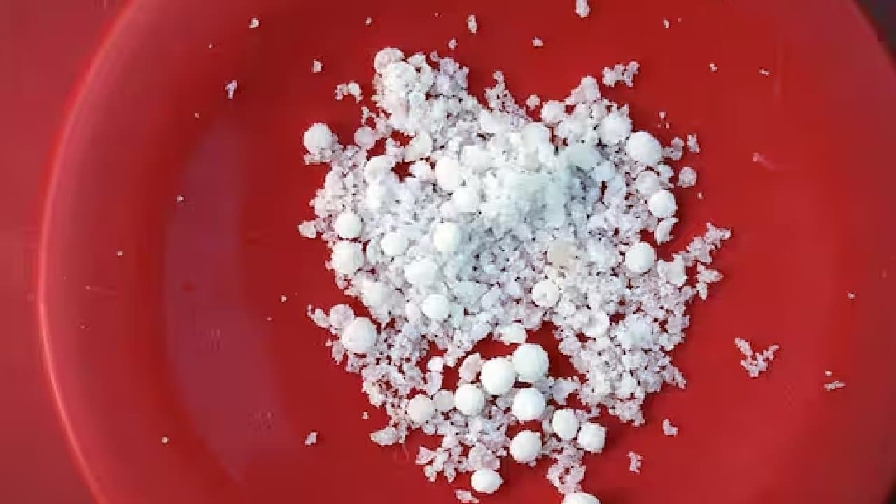 Faridabad Explosives case update: Woman Doctor Arrested