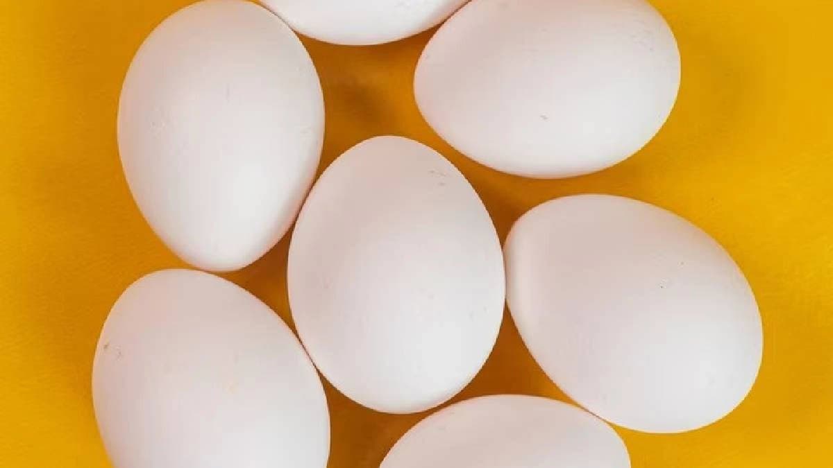 Raw Egg vs Boiled Egg Which One Is Safer And Gives More Protein
