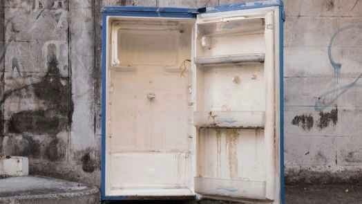Man Stumbles Upon Abandoned Fridge In Forest calls police after opening it gnr 