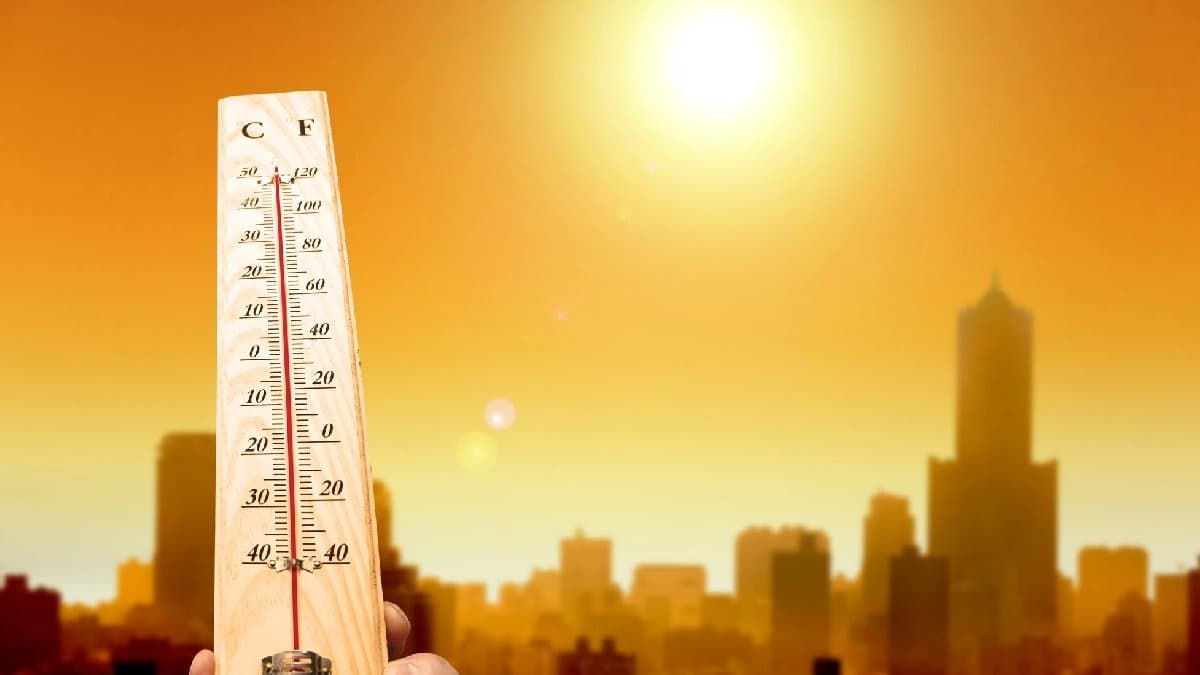 Heatwav Update Caused 2300 Deaths In these cities