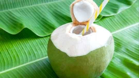 Man Dies after Drinking One Sip Of Coconut Water Due to Brain Damage