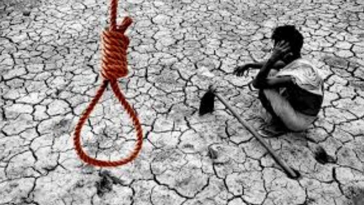 Farmers suicides again in Maharashtra 767 deaths in three months