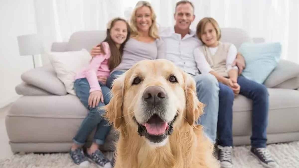 Taking care of your pet dog is inviting a positive energy of ketu in your life lif 