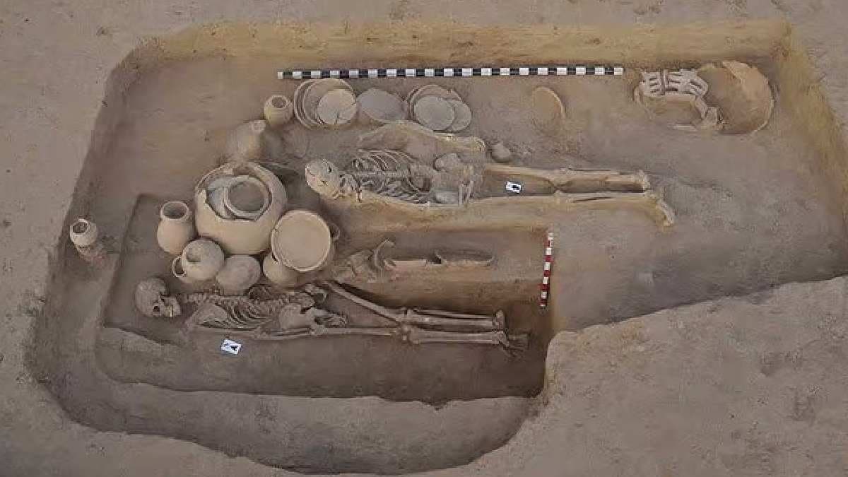 How ancient Europeans changed at the dawn of agriculture gnr 