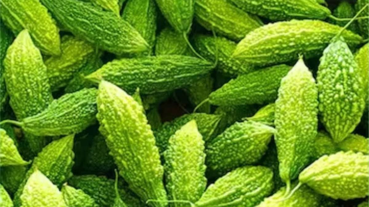 is Bitter gourd really reduce blood sugar know what science says about this matter lif