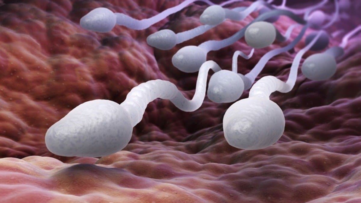 How to increase sperm count these tips are very effective for male fertility 