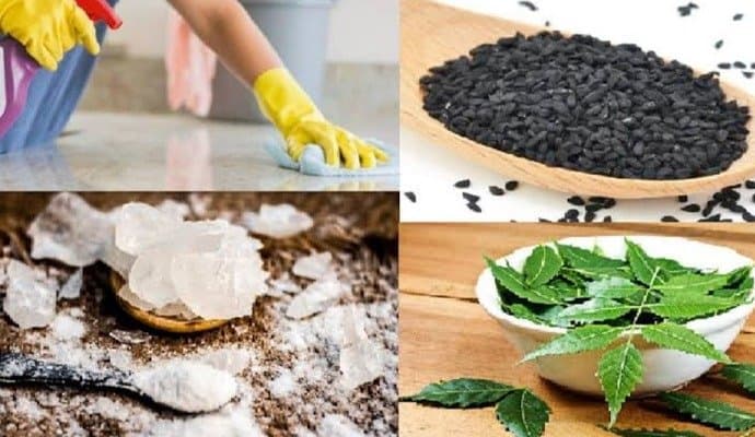 How to get rid of insect and reptile in Monsoon LIF