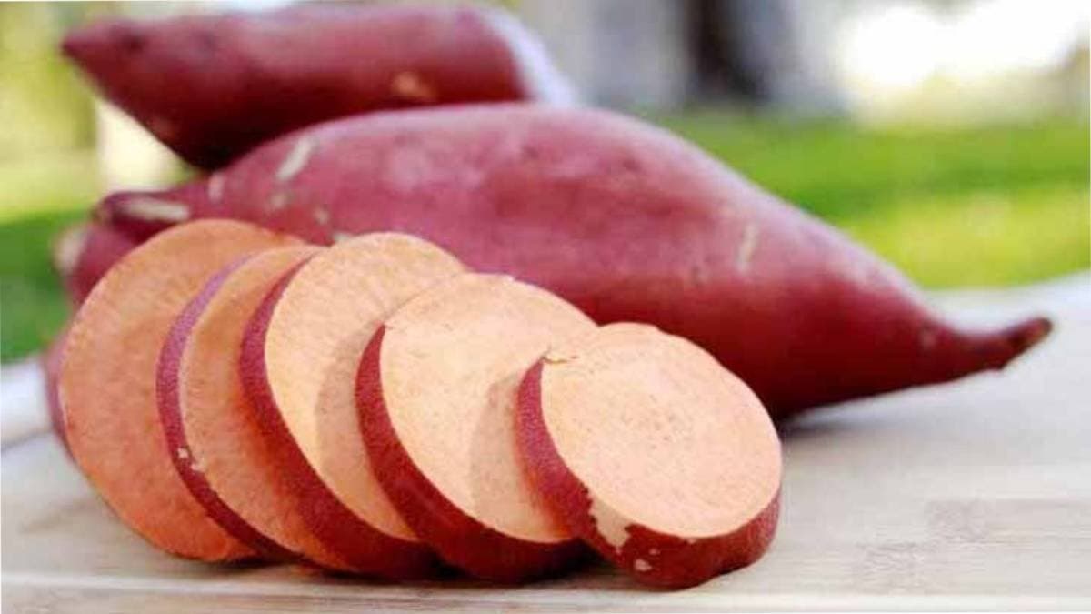 sweet potato has many health benefits it prevent heart attack also control blood pressure and diabetes lif
