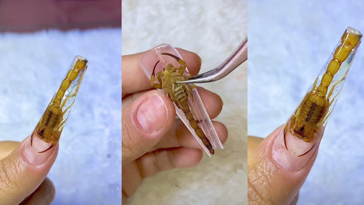 Artist becomes viral sensation with unique insect based nail art fashion