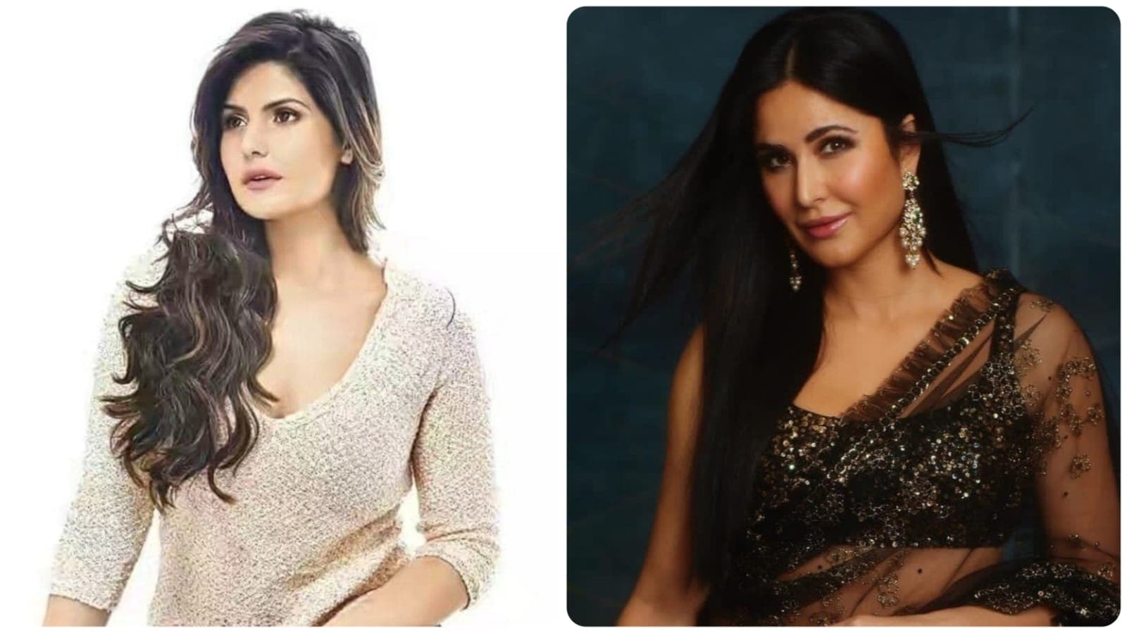 Katrina Kaif: জারিন খানের কেরিয়ারের উন্নতিতে বাধা হয়ে দাঁড়িয়েছিলেন ক্যাটরিনা কইফ! কী বলছেন সলমনের ‘বীর’ নায়িকা? 