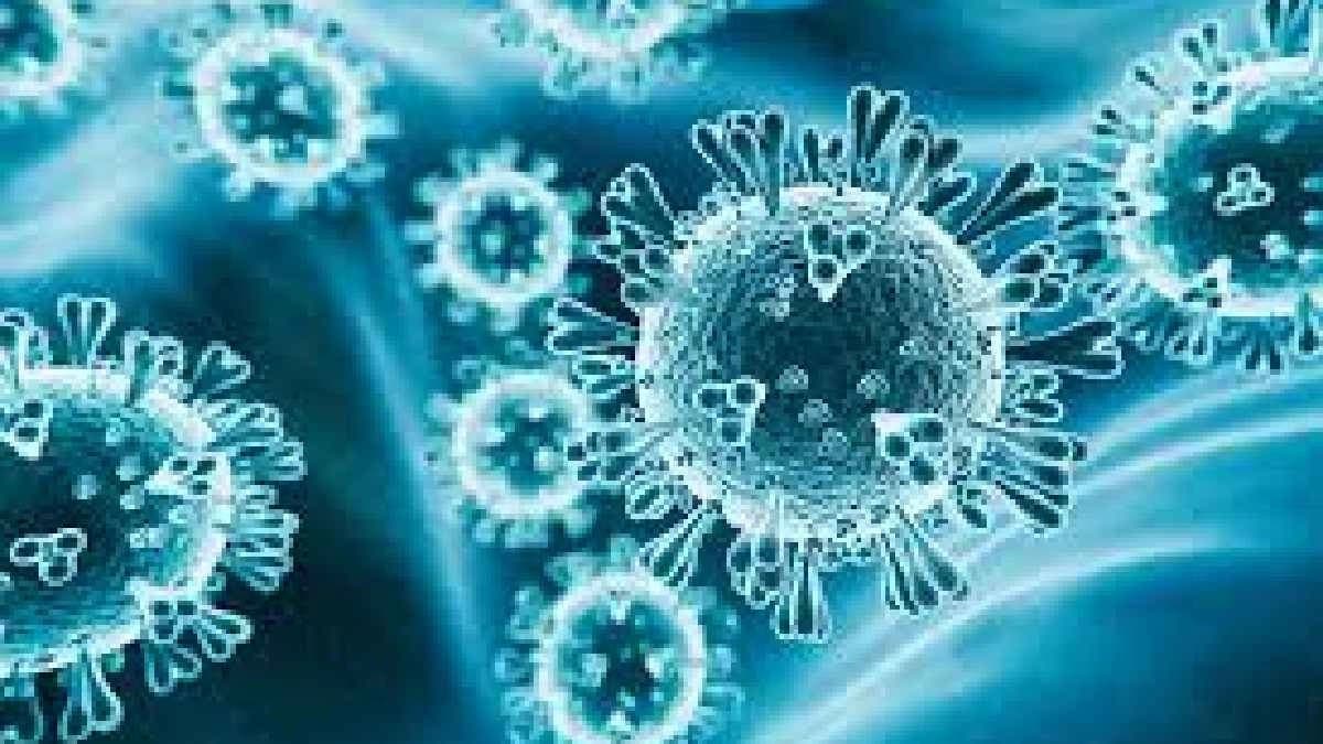 Newly discovered virus emerged from Pacific oyster farms