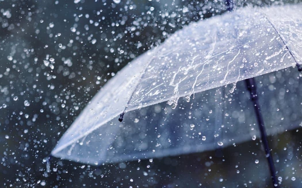 Weather Update: জাঁকিয়ে শীত, বুধবার রাত থেকেই বৃষ্টি বঙ্গে