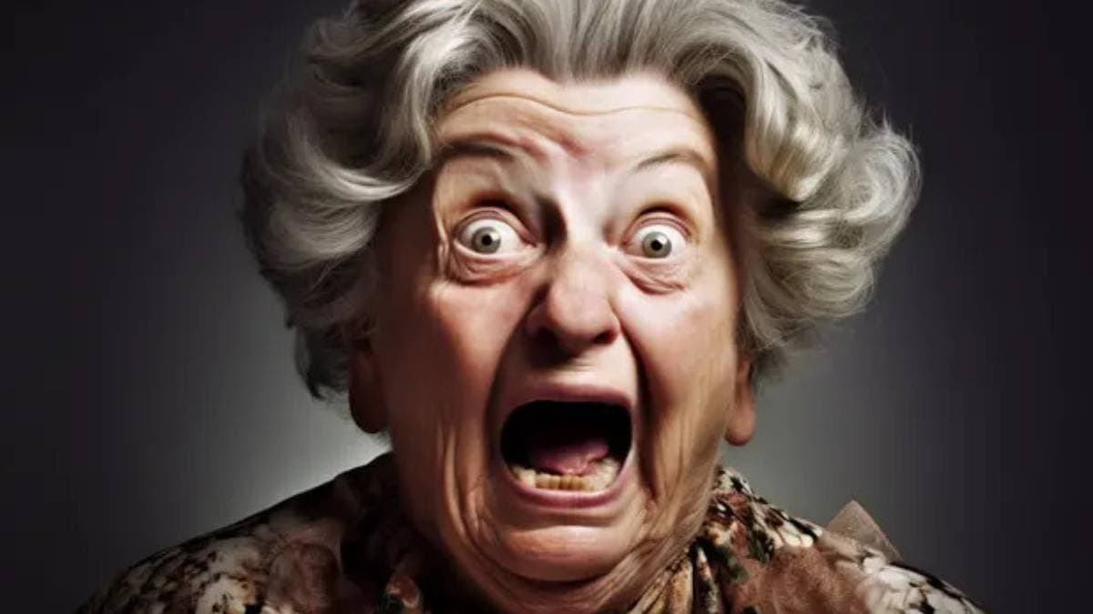 AI asks dirty question to old woman sparks controversy