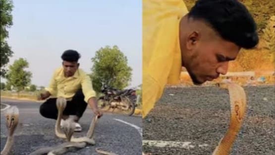 Man Bizarre Habit Of Kissing Venomous Snake Like Cobra