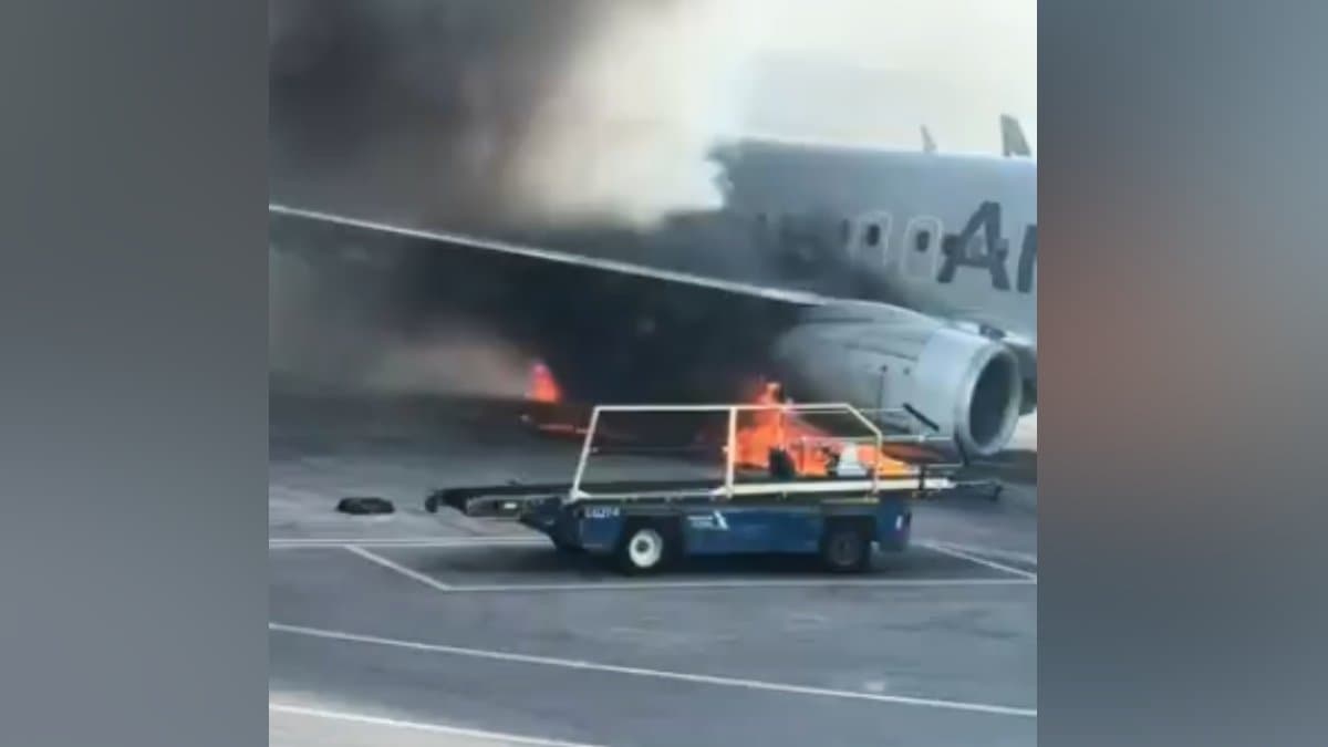 American Airlines  Plane Catches Fire Terrified Passengers Seen Standing On Wing