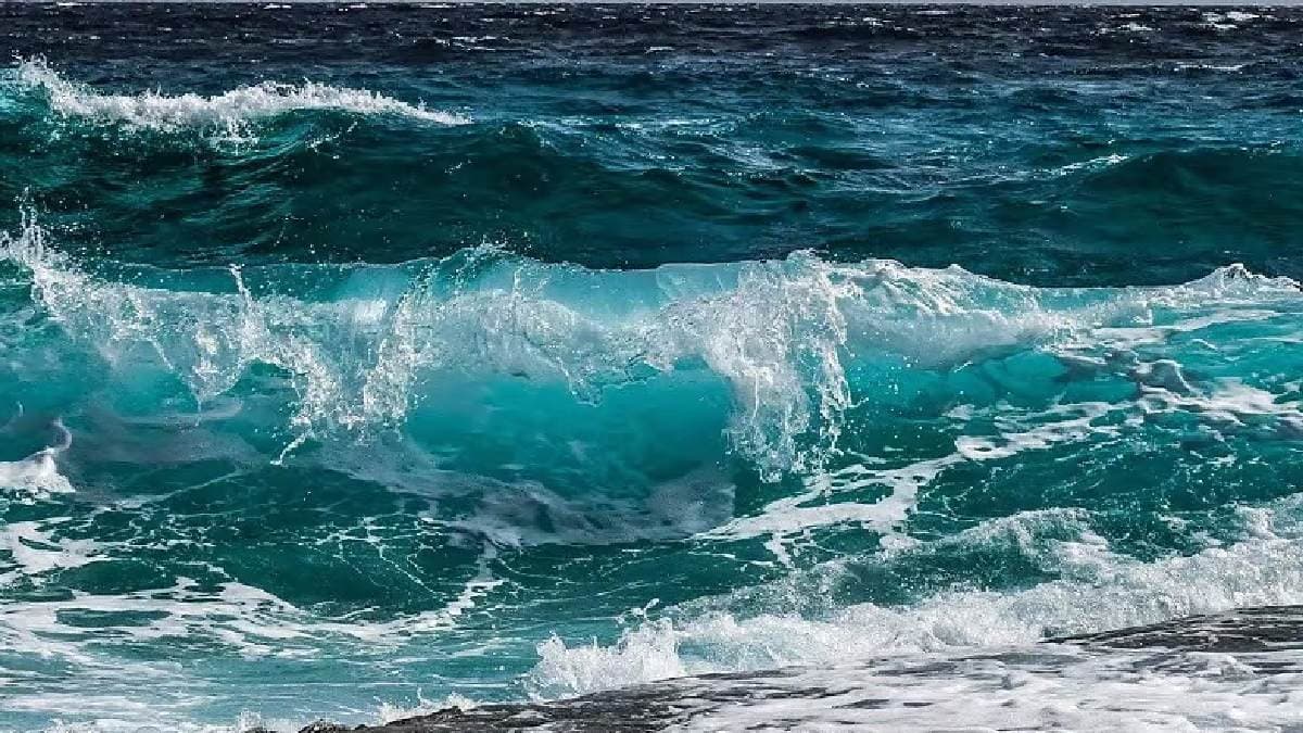 Oceans Turning Dark new research has revealed the reason 