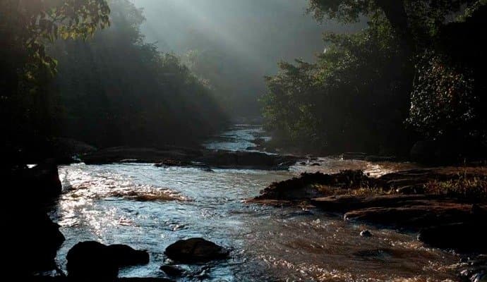 Kerala: নদীতে স্নান করতে নেমে তলিয়ে গেলেন এক পরিবারের ৩ জন