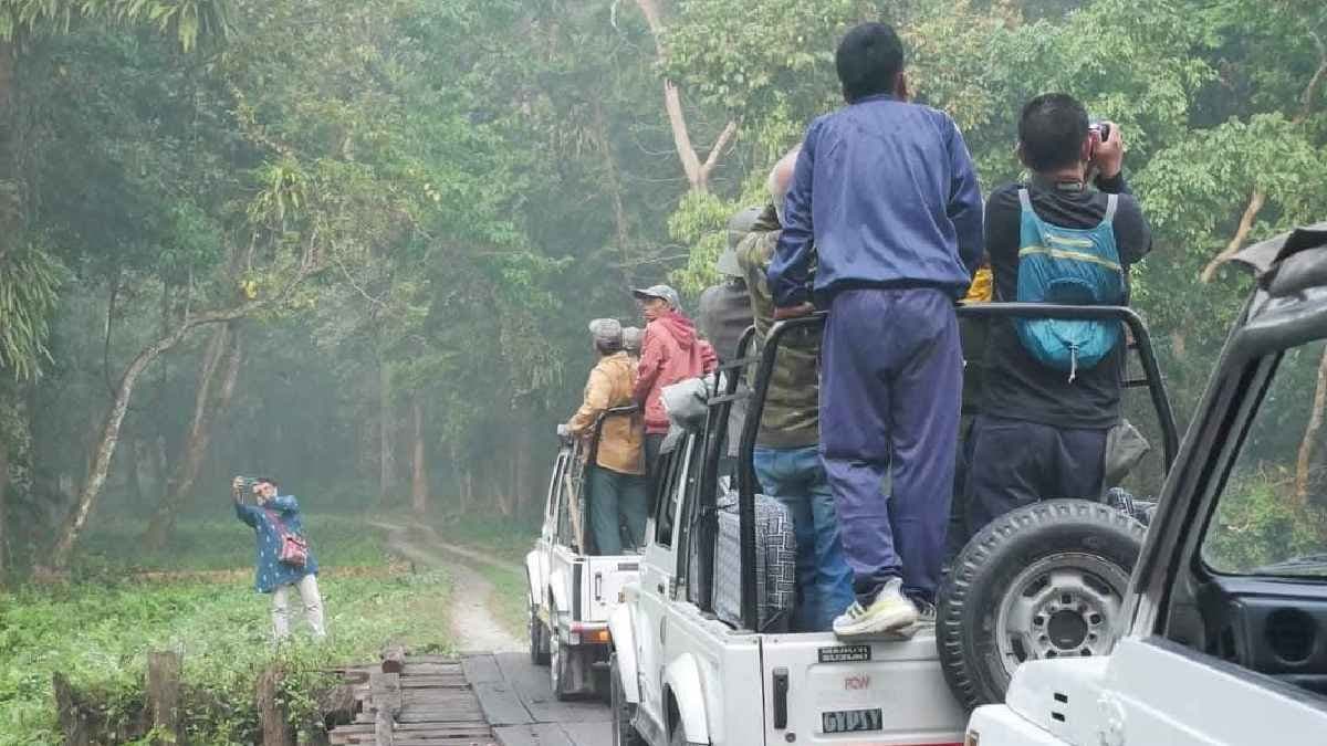 A good number of tourists are going to chilapata gnr