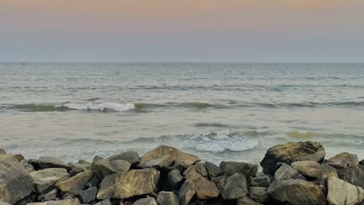 Gold Rush at sea Beach locals  collect gold from there know the place gnr 
