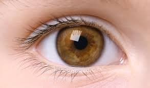 চোখ জ্বালা জ্বালা করছে! মায়োপিয়া হয়নি তো! জানুন শিগগির