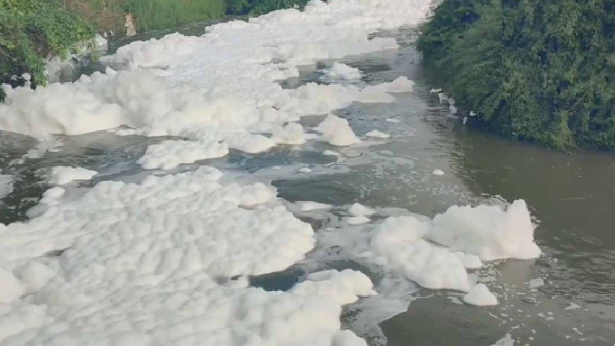 Sea Of Toxic Foam In Tamil Nadu's Hosur gnr 