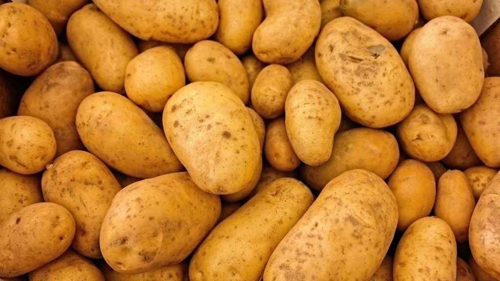 Potatoes Price may rise from next week in west bengal gnr 