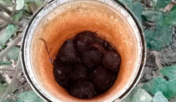 Bombs: ‌আমবাগান থেকে উদ্ধার তাজা বোমা, সামশেরগঞ্জে চাঞ্চল্য 