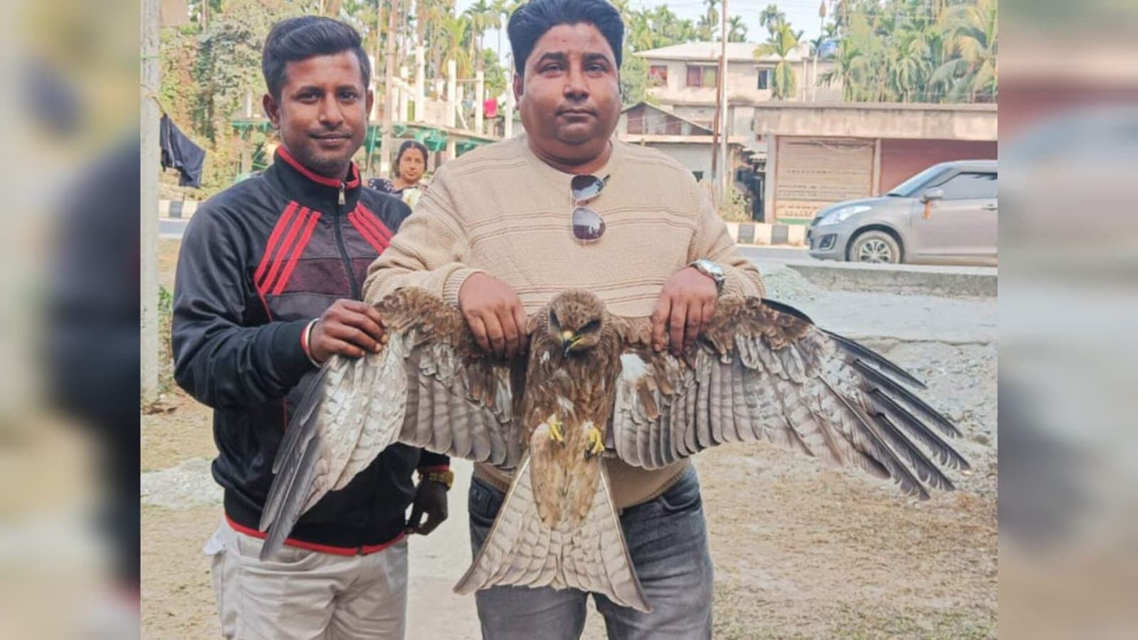 Dooars: অসুস্থ ঈগল উদ্ধার করে বন দপ্তরকে দিলেন পরিবেশকর্মীরা 