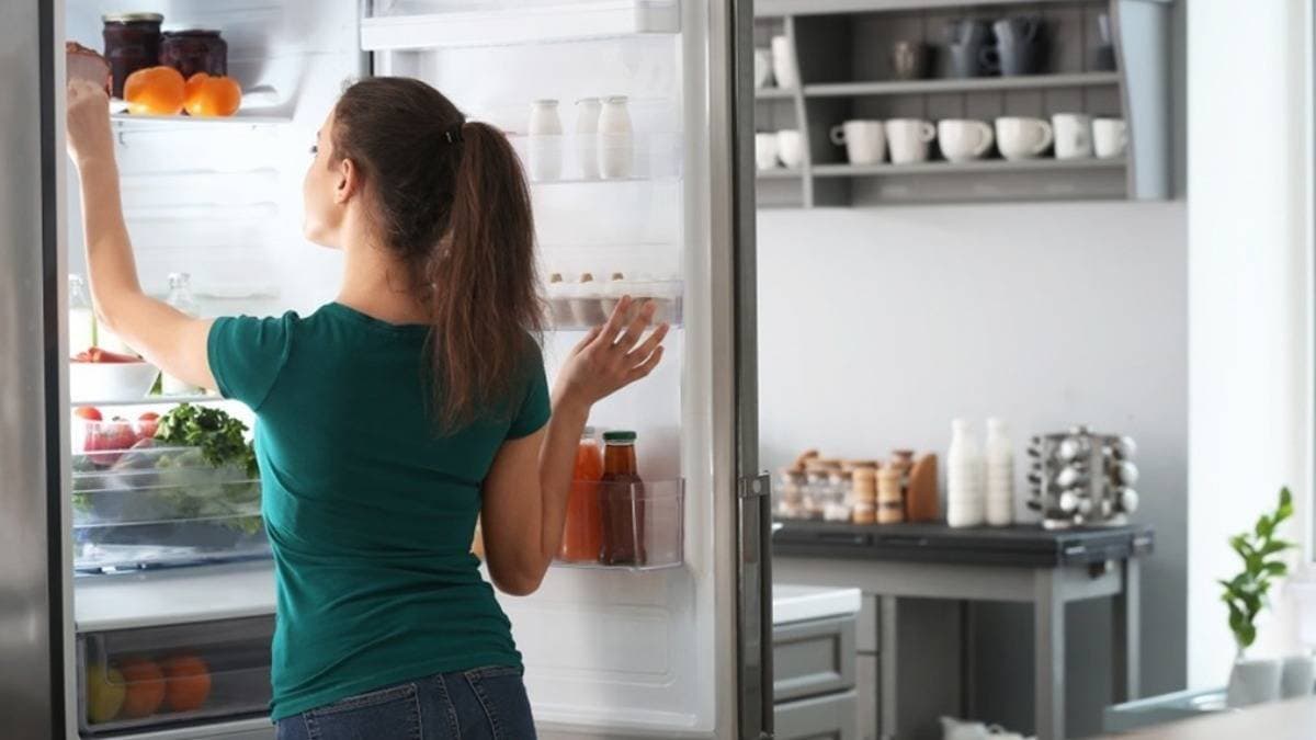 How to take care of refrigerator in summer