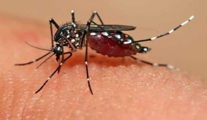 Zika : জিকা ভাইরাস নিয়ে  সব রাজ্যকে সতর্ক করল কেন্দ্র 