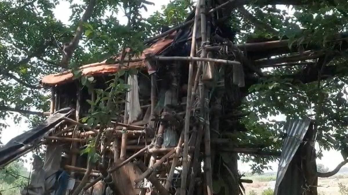 ভারত-পাকিস্তান দ্বন্দেও গাছ থেকে নামলেন না 'মাচান বাবা', মঙ্গল কামনায় সেখানেই করলেন প্রার্থনা 