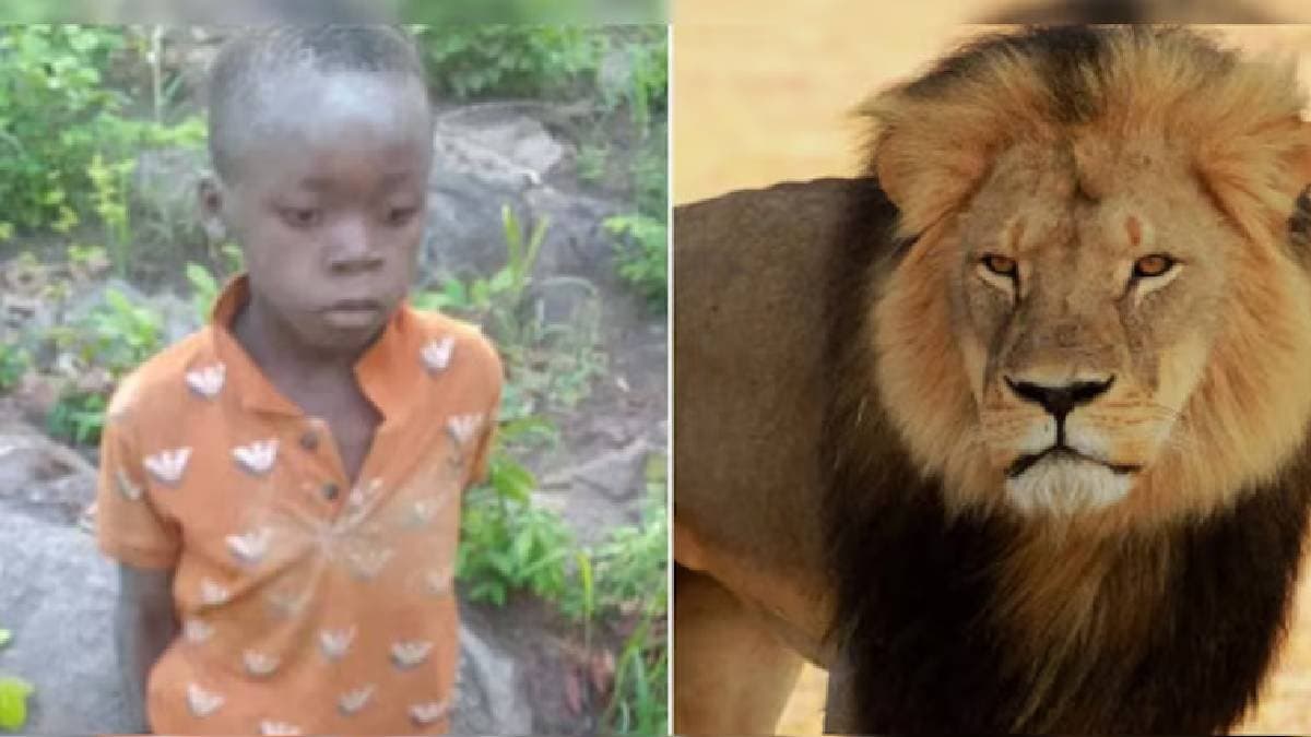 How An 8 Year-Old Boy Survived For 5 Days In Zimbabwes Lion Filled Reserve