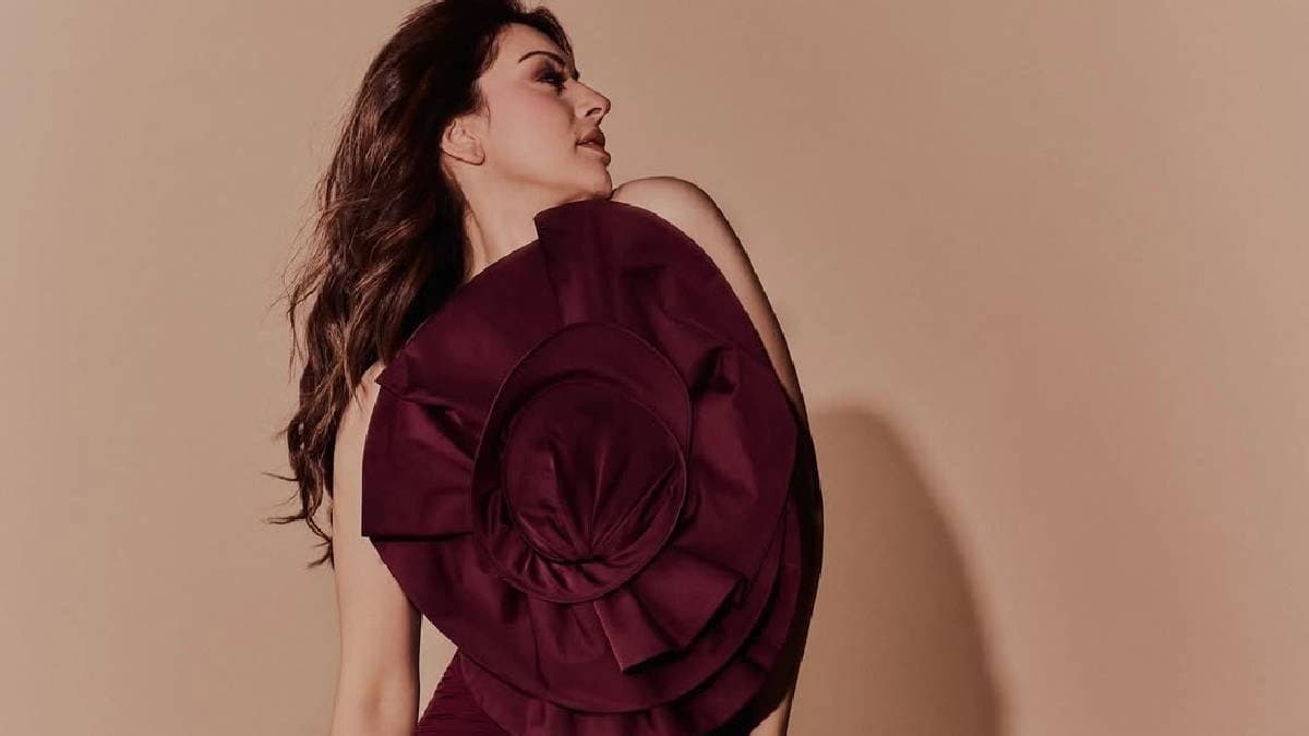 Hansika Motwani intensifies Sohael Kathuriya divorce rumors with cryptic birthday post