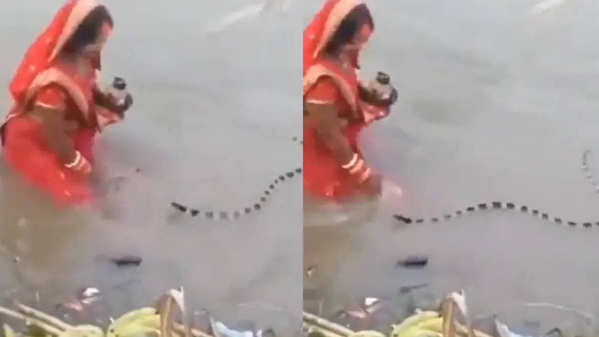 বিষধর সাপ হারাল তার স্বভাব, ছবি দেখে অবাক নেটদুনিয়া