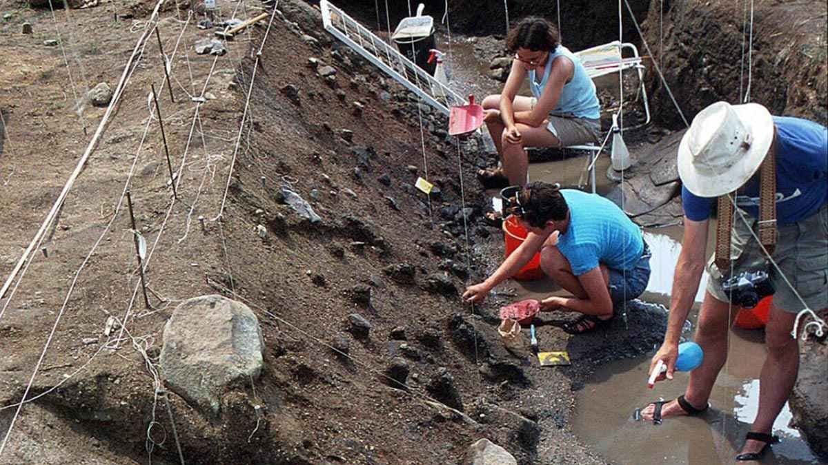 Humans live on a Plant Based Diet 780000 years ago makes new Discovery 