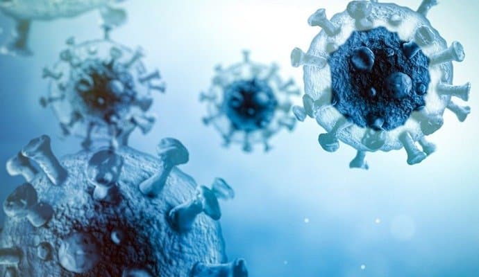 Chandipura Virus: চাঁদিপুরা ভাইরাসের আতঙ্কে কাঁপছে গুজরাট, মৃত ১৬, সংক্রমিত আরও ৫০ 