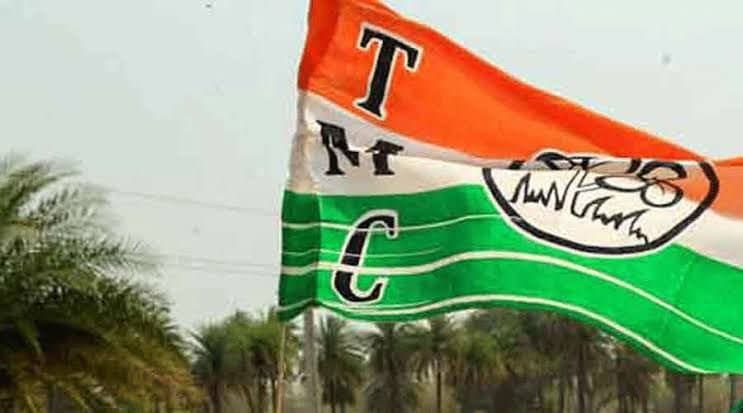 TMC: রাজ্যে ঘাসফুল শিবিরের হয়ে মাঠে নামবেন ৪০ জন তারকা প্রচারক 