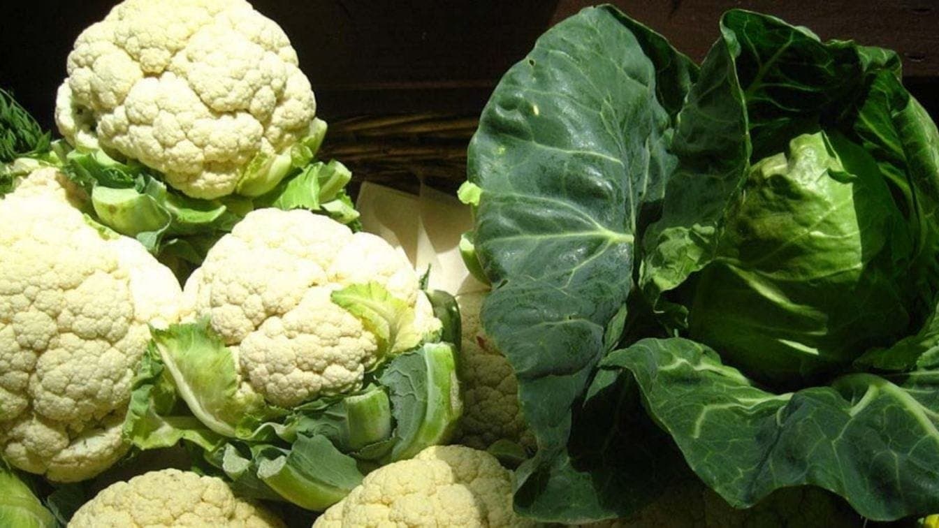 cabbage or cauliflower which one has more nutrition know these things to avoid critical diseases details inside lif