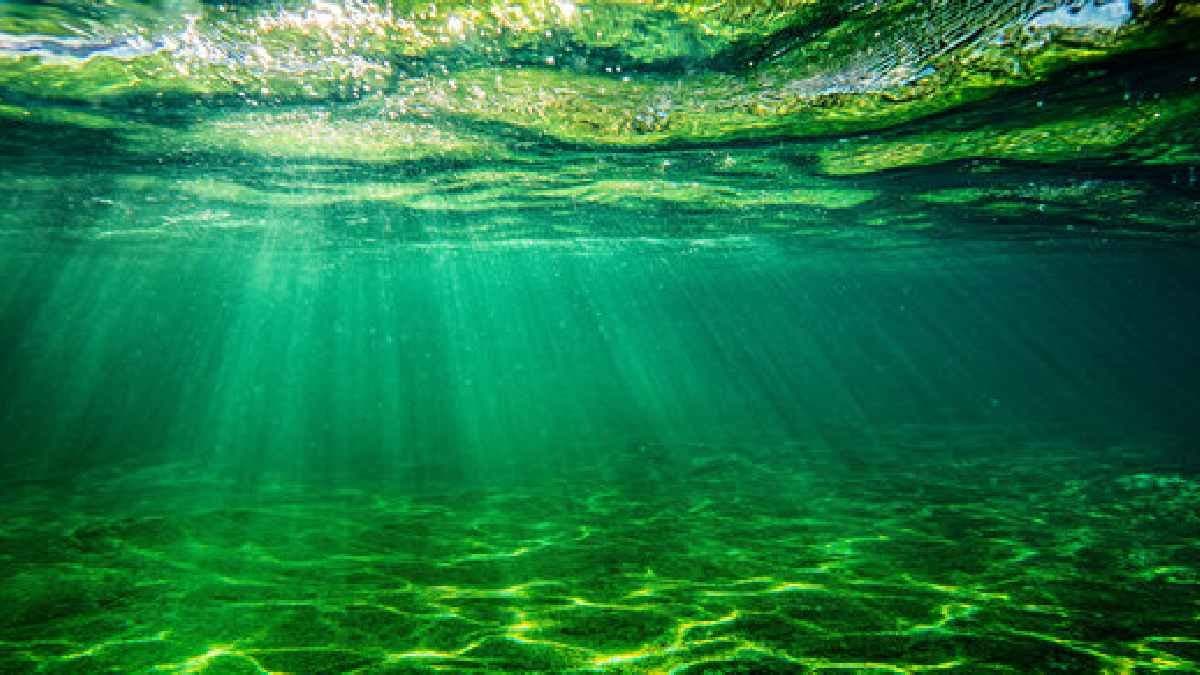 Japanese researchers have made a compelling case that Earth oceans were once Green