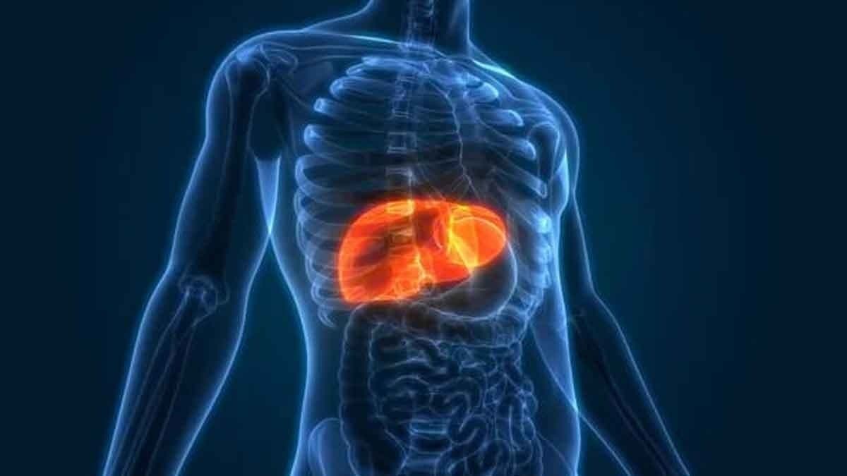 Unknowingly by doing all these  habits can make  your liver unhealthy lif