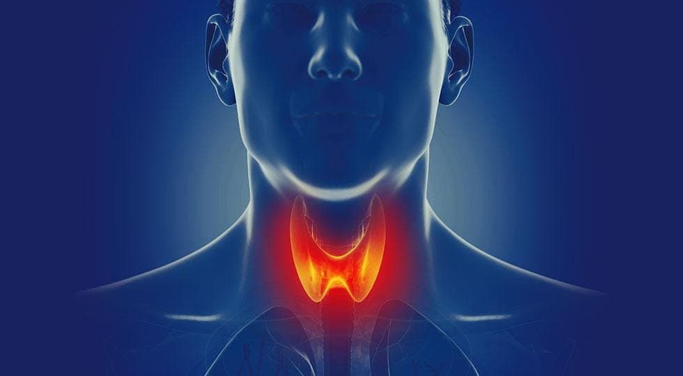 Health: থাইরয়েডের সমস্যা নিয়ন্ত্রণে রাখতে কোন খাবার রাখবেন ডায়েটে? কী বলছেন পুষ্টিবিদ ?