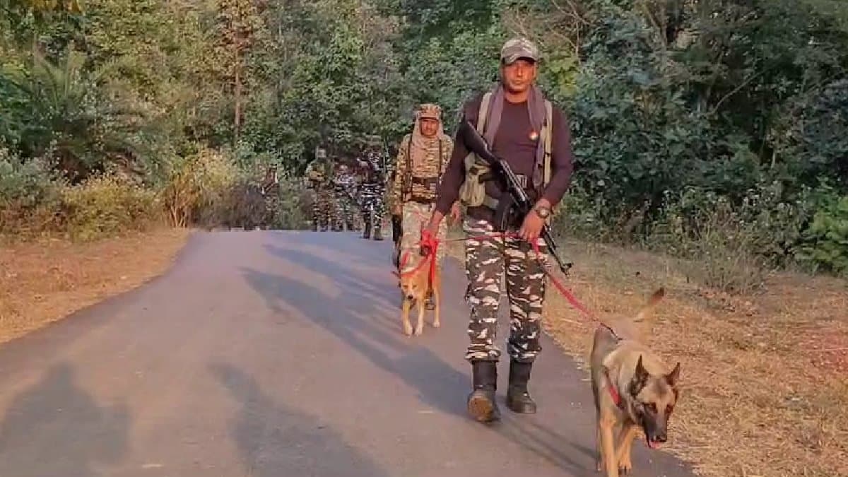 Tigress Zeenat update CRPF in belpahari CRPF has taken down the safety of common people-touristsfor the safety of common people-tourists