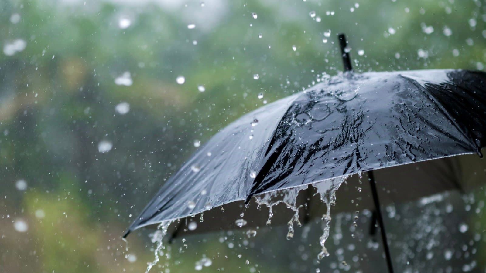 IMD Weather Update Heavy Rainfall Forecast in South Bengal gnr 