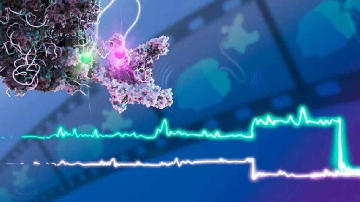 World First Molecular Movie Witness DNA Becoming Life Blueprint in Real Time gnr 