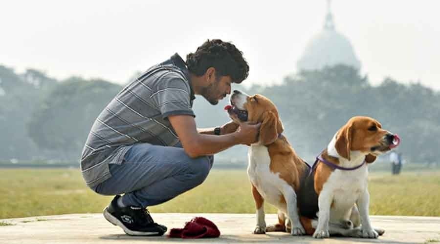 National Pet Parents Day: পোষ্যদের অভিভাবকরাও হতাশায় ভোগেন? এই নিয়ে কী মত থেরাপিস্টের?