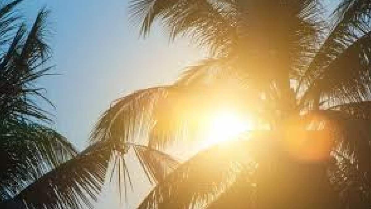 IMD weather update for monday