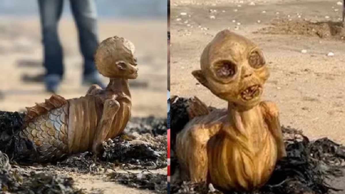 A skeleton-like creature lies on the seashore in Britain