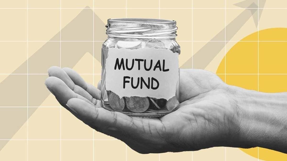 Large mid small flexi cap Mutual Fund which one has low risk and high return 