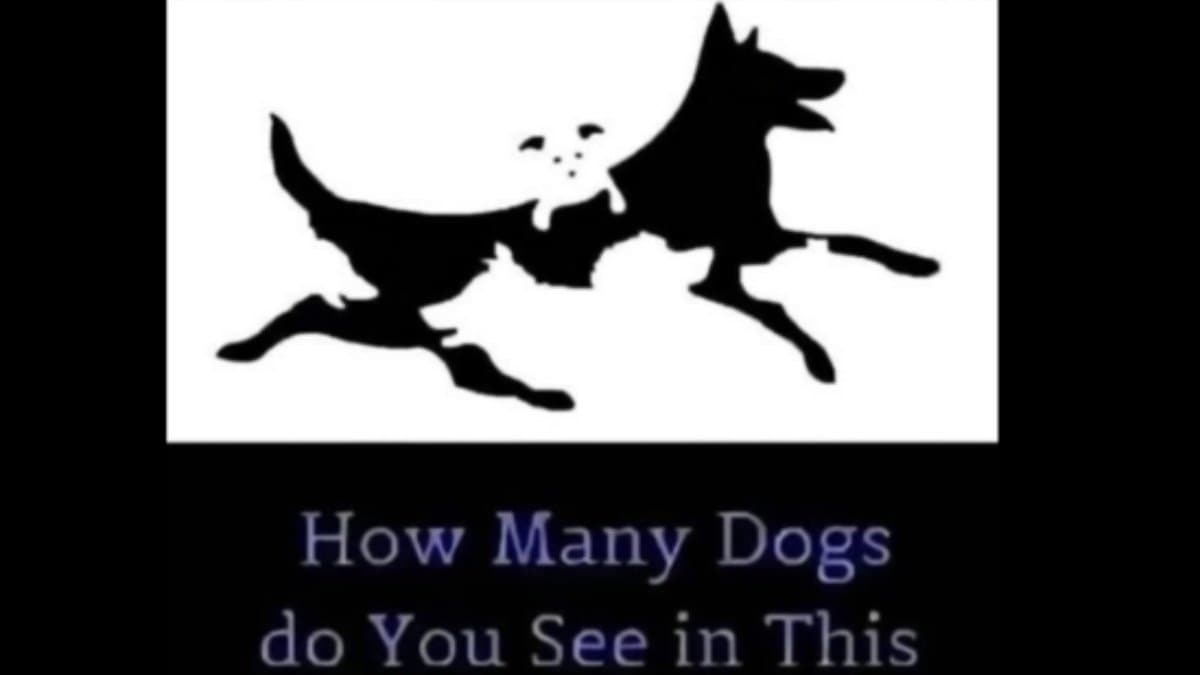 Optical Illusion: can you count the number dogs hidden in the image